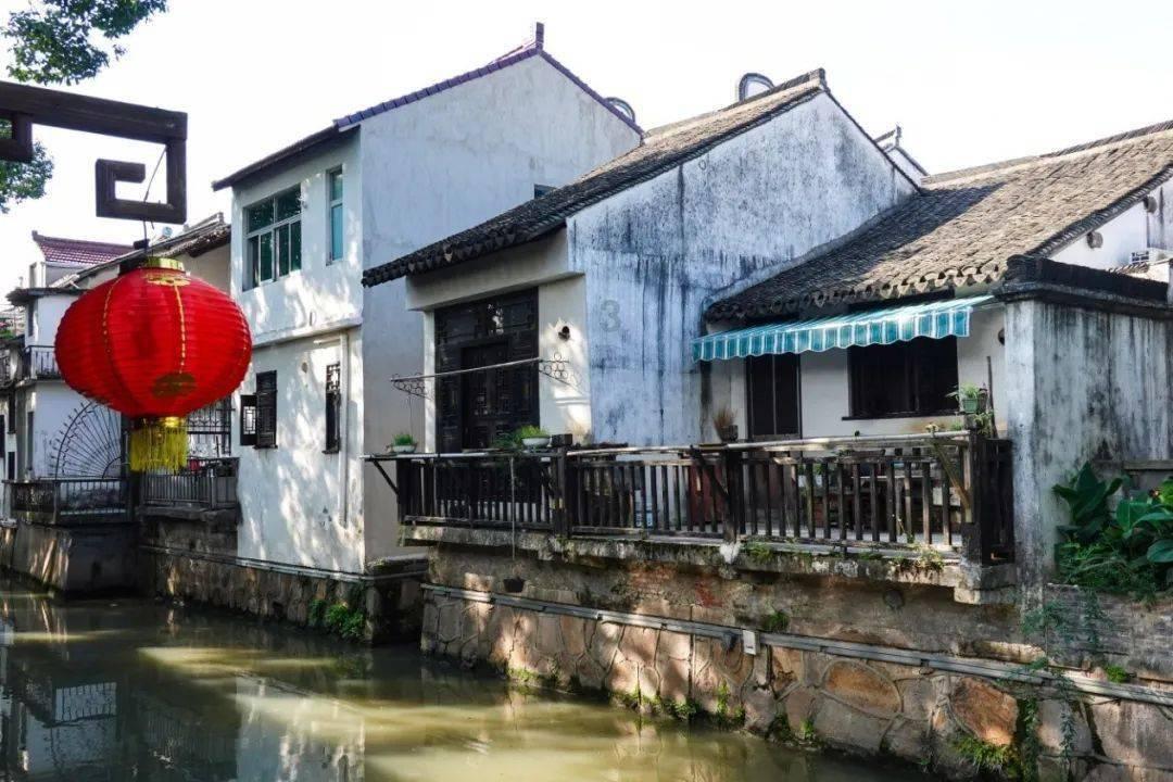 我不想努力。我想做棵树。没有人批评。就在那儿伫立着？游戏画面